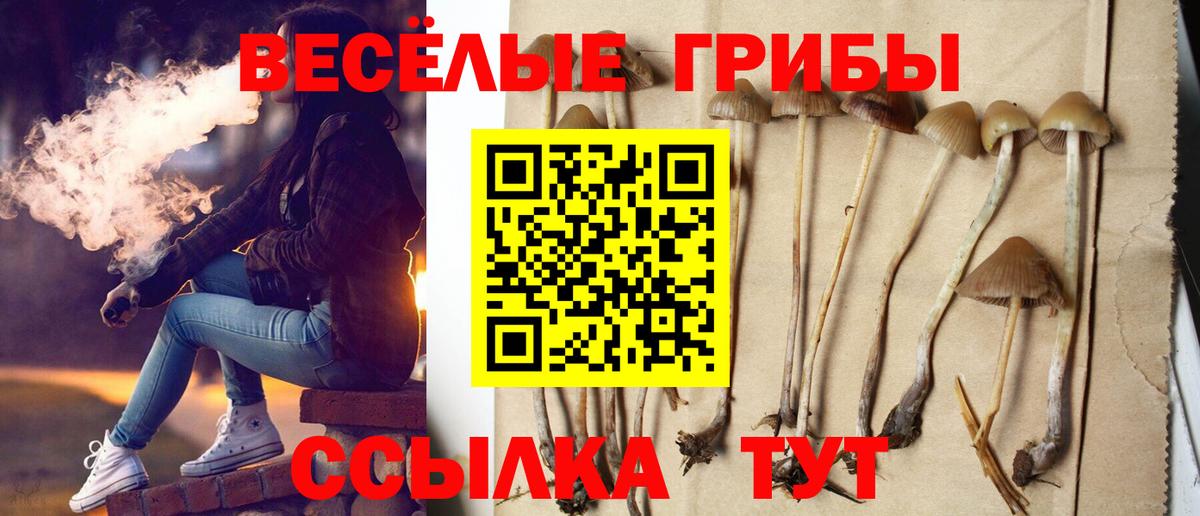 Галлюциногенные грибы GOLDEN TEACHER  как найти   Горячий Ключ  Вход с VPN 