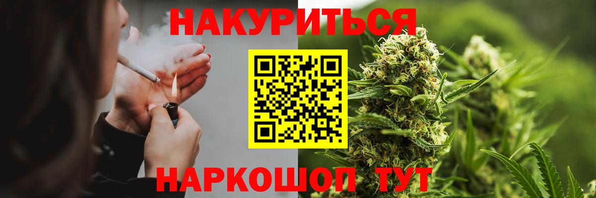 Каннабис OG Kush  Марихуана план  Горячий Ключ  МАРИХУАНА MAZAR  Вход с VPN 